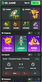 BC.Game Online Casino Platform A Comprehensive Guide